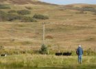 [0930] Tag14 - Salen Tobermorry
